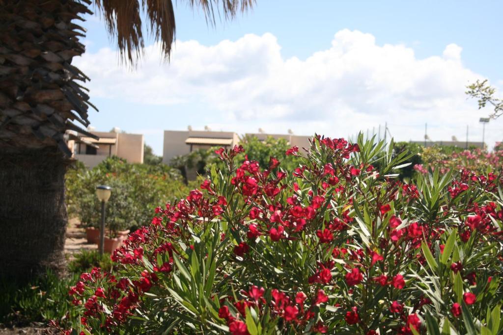 Residence Punta Longa Favignana Zewnętrze zdjęcie